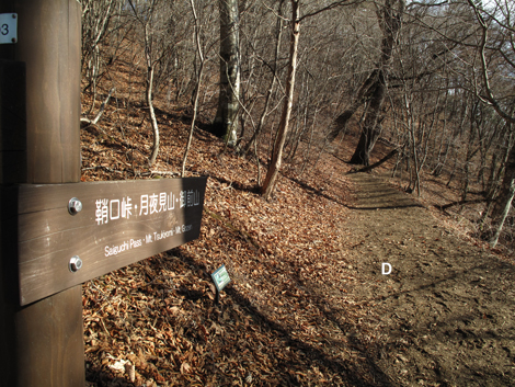 20171128hike (146)